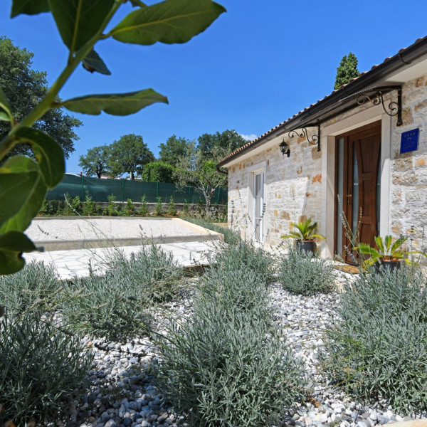 Villa Emilia, Villa Emilia Vižinada