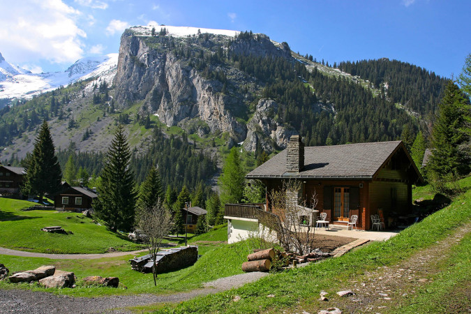 Villa Emilia Vižinada